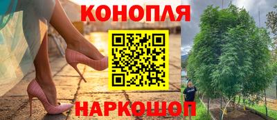 индика Можга