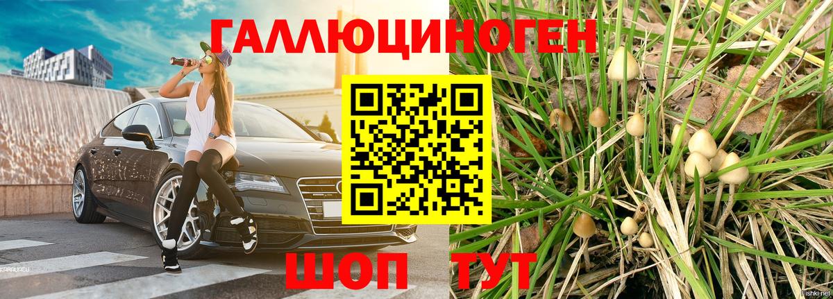 Галлюциногенные грибы ЛСД  Вход с VPN  Соликамск 